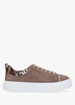 Panny Taupe Suede Reptile Trainers