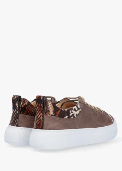 Panny Taupe Suede Reptile Trainers