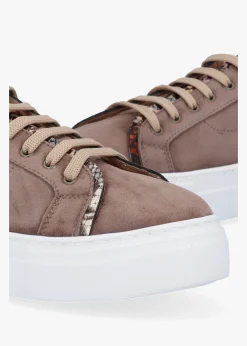 Panny Taupe Suede Reptile Trainers