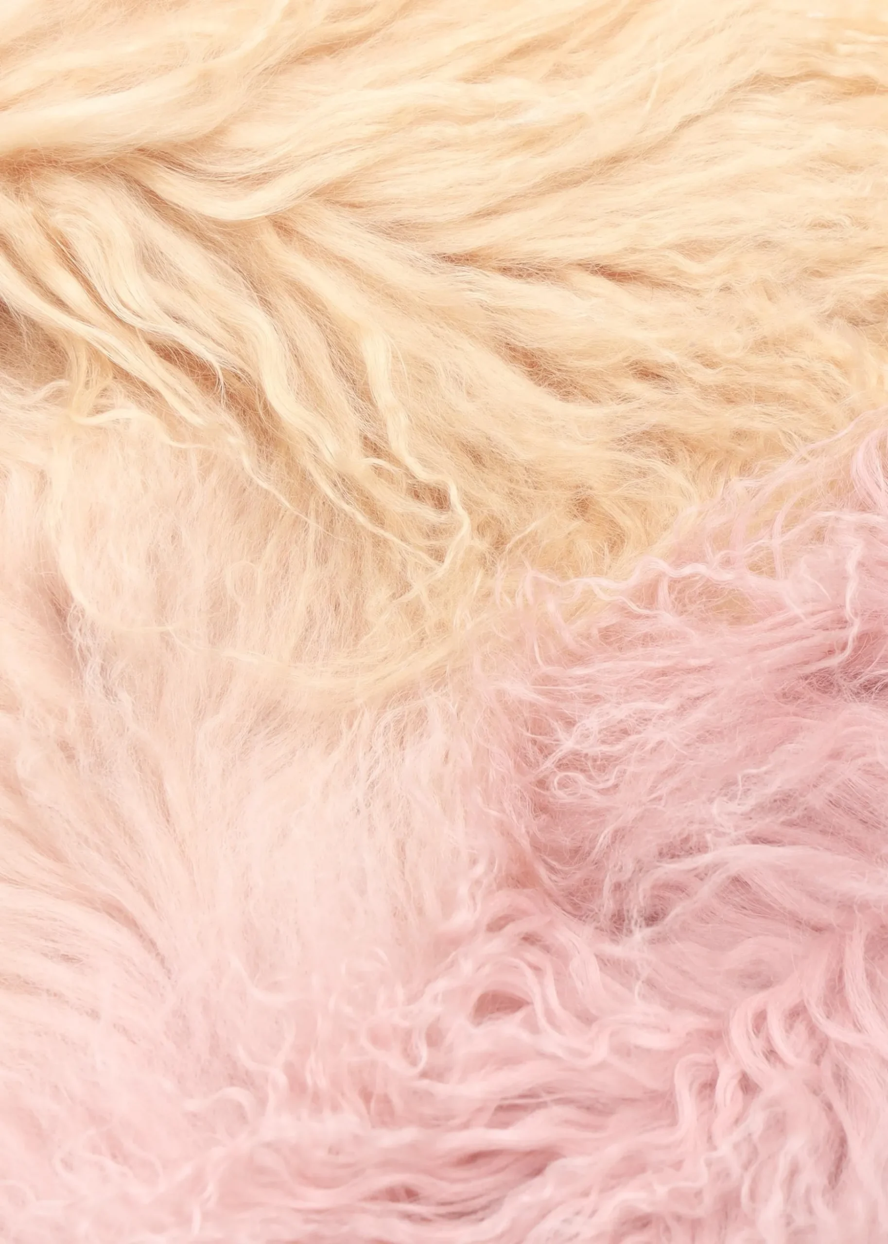 Pink Ombre Shaggy Mongolian Lambswool Scarf